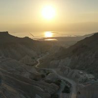 Protecting What We Love