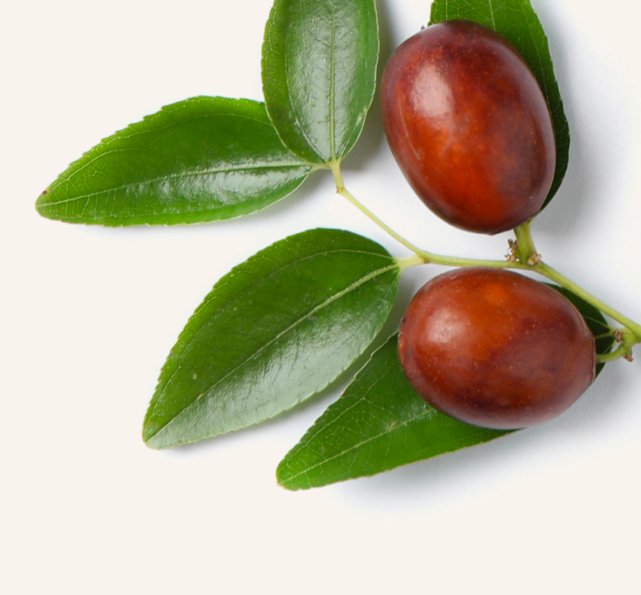 Nourishing Jojoba Oil and mineral body care for silky smooth skin.