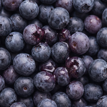 Acai Extract