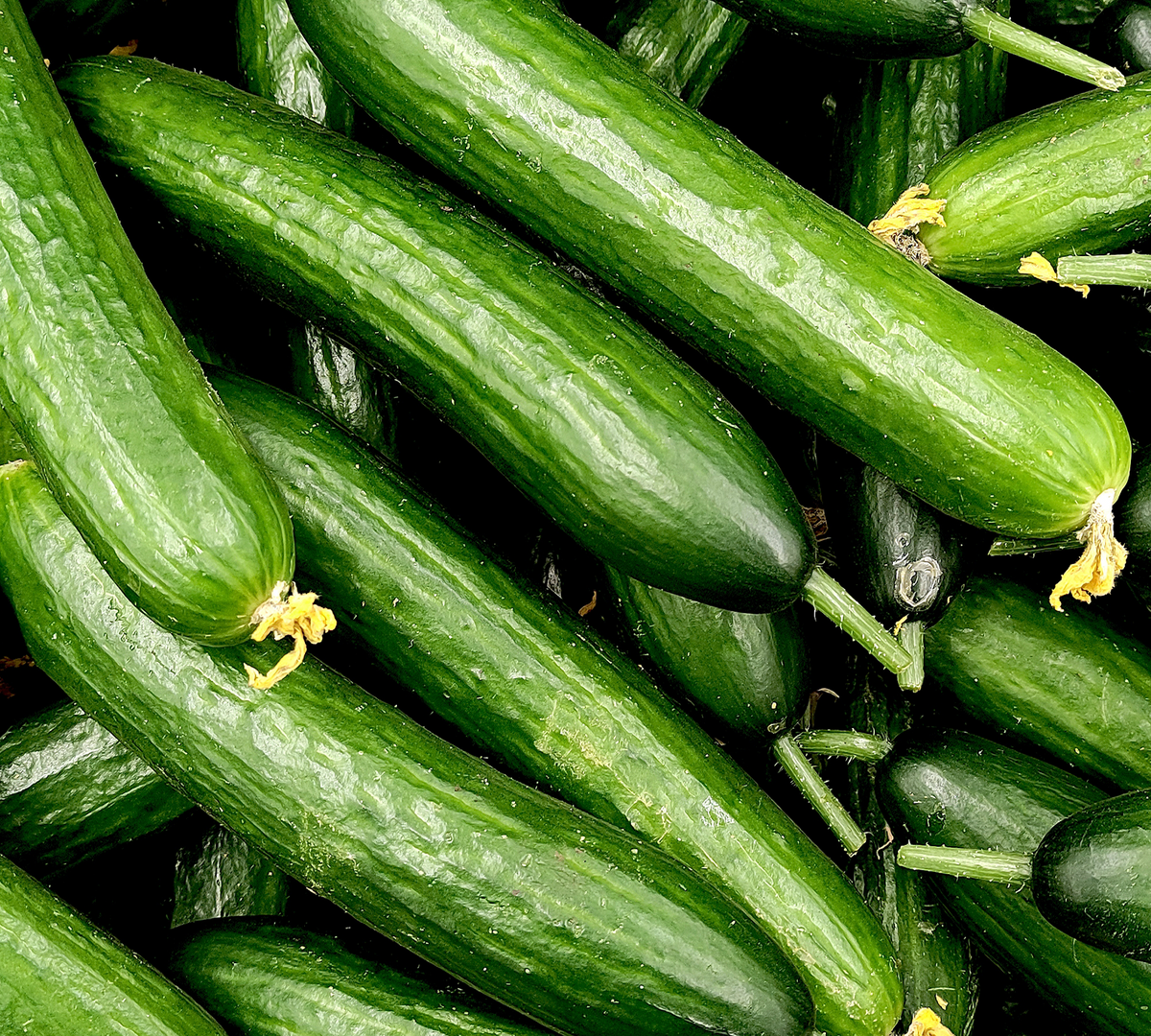 Cucumber Extract