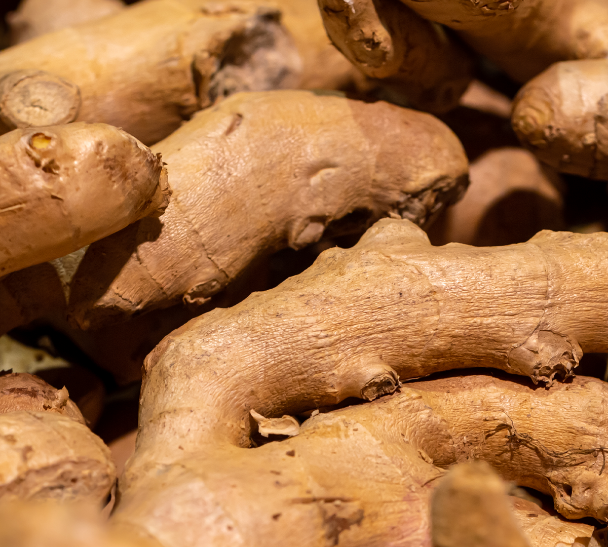 Ginger Root Extract
