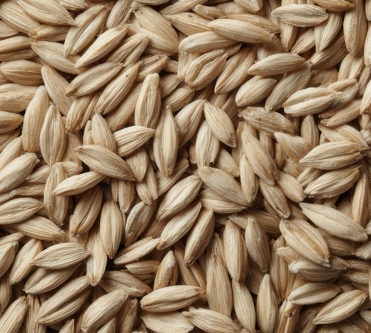 Wheat Germ Oil