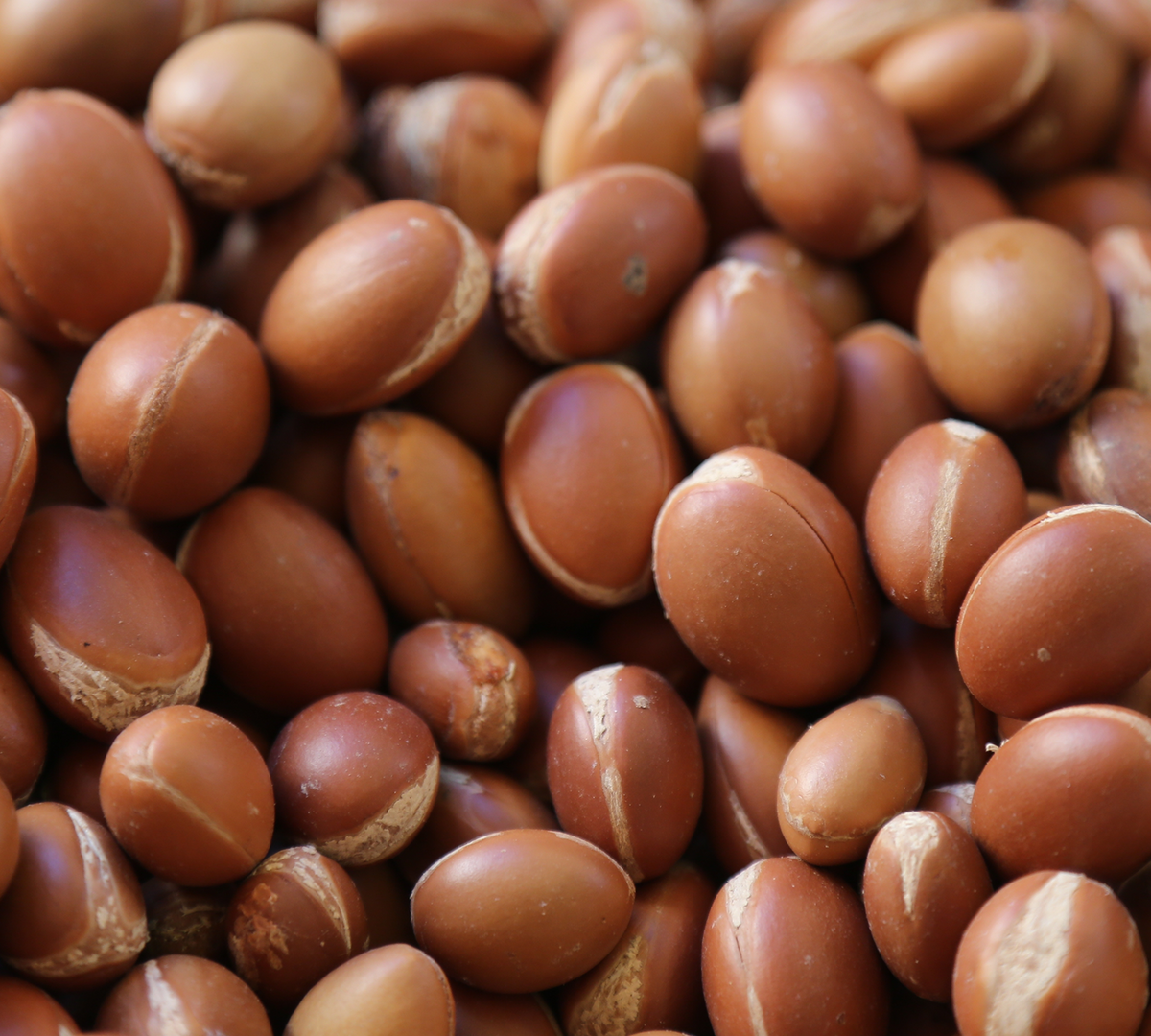 Argan Oil