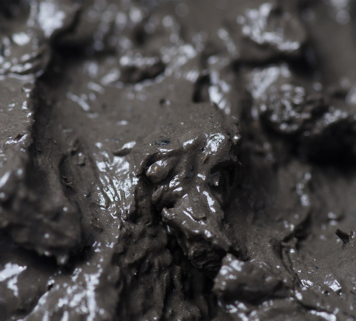 Dead Sea Mud