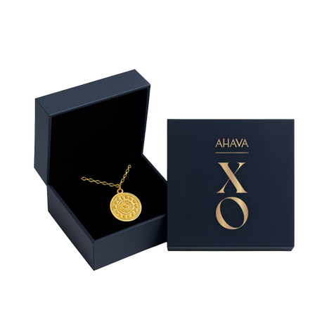 XO COIN